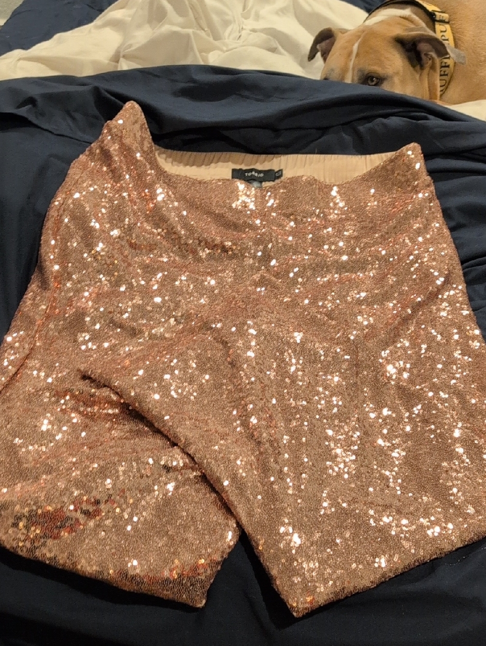 Topshop Rose Gold Sequin Pants